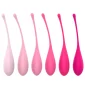 Kegel Balls Huevos